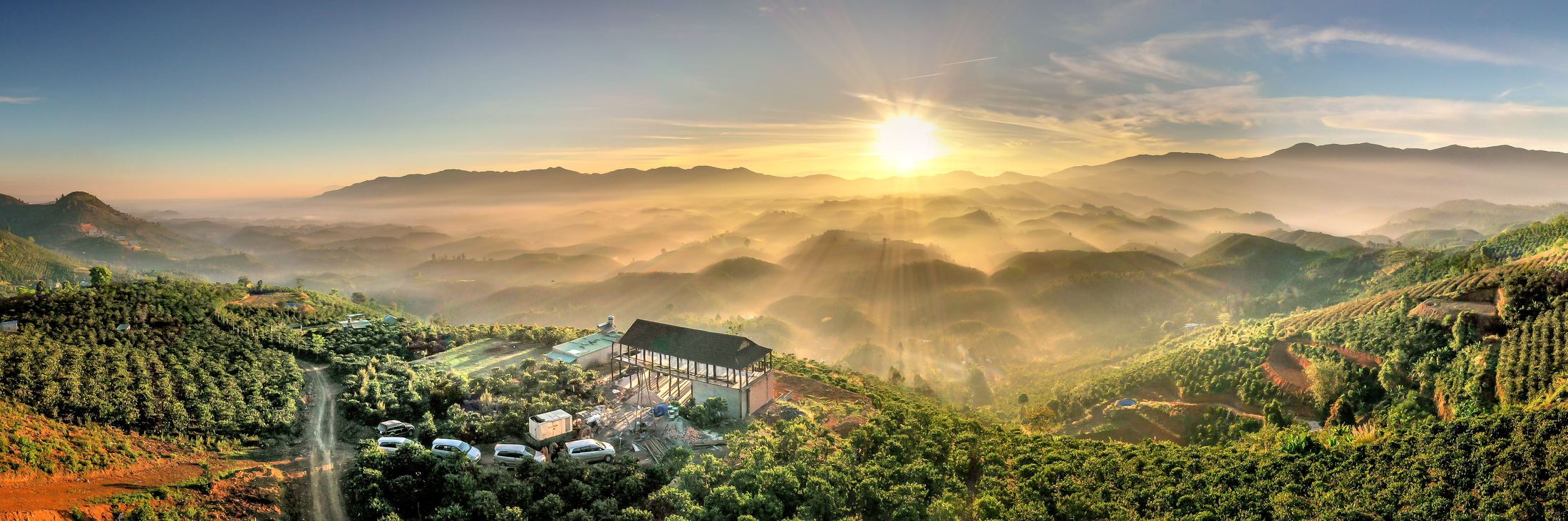 Vale de lavouras de café ao amanhecer