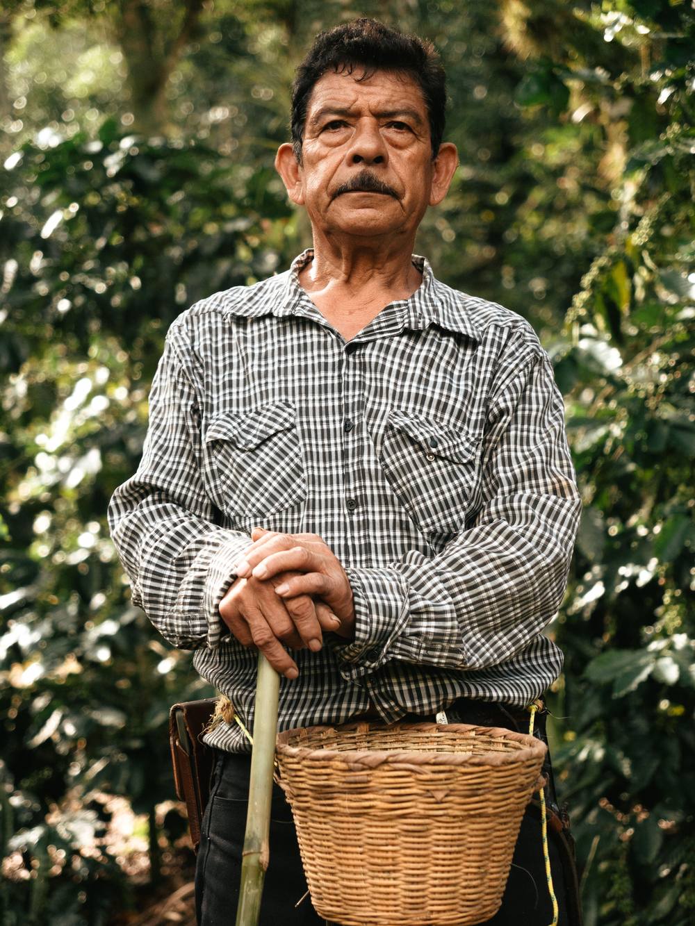 Produtor de café em sua lavoura